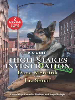 High-Stakes Investigation - ebook